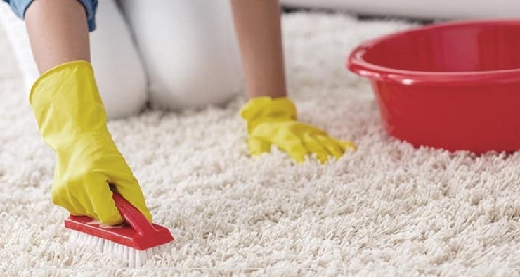 Cara Mencuci Karpet Bulu dengan Mudah dan Cepat