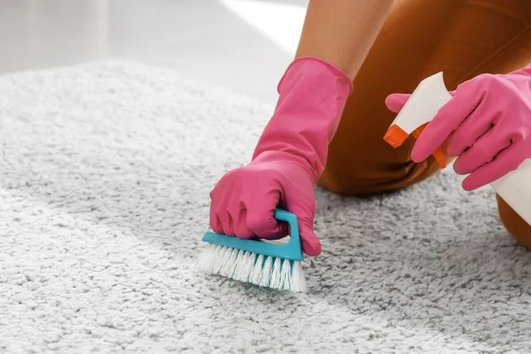 Lagi Nyari Jasa Cuci karpet kantor murah? Sentron Clean Jakarta ada Untuk Anda!