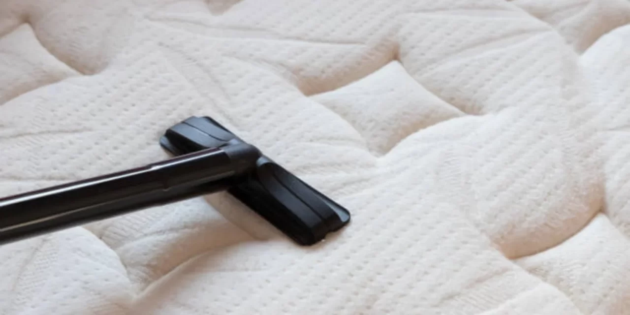 Kecoa Mulai Bersarang? Saatnya Cuci Springbed Pancoran!